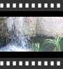 ../pictures/Akron Zoo/DSCF5025_1_small_icon.jpg
